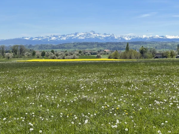 Acker©ecologiesuisse Acker©ecologiesuisse