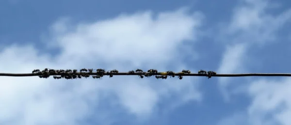 macro-5372853 macro-5372853